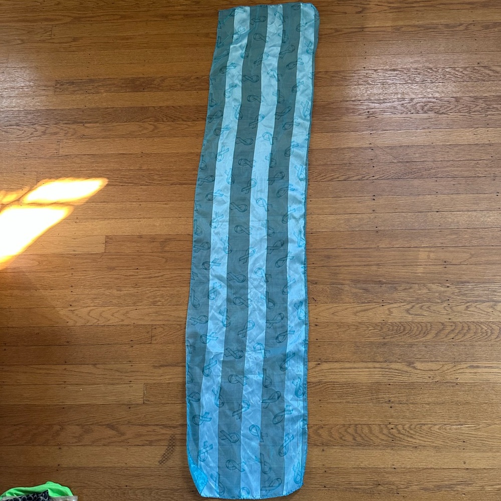 Striped Blue Scarf with Ribbon Details